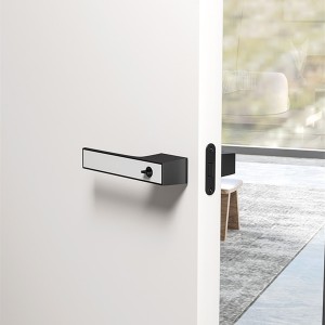 Interior Hidden Door Handle With Lever Lock – China Hardware Factory