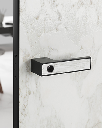 bathroom lever door handle