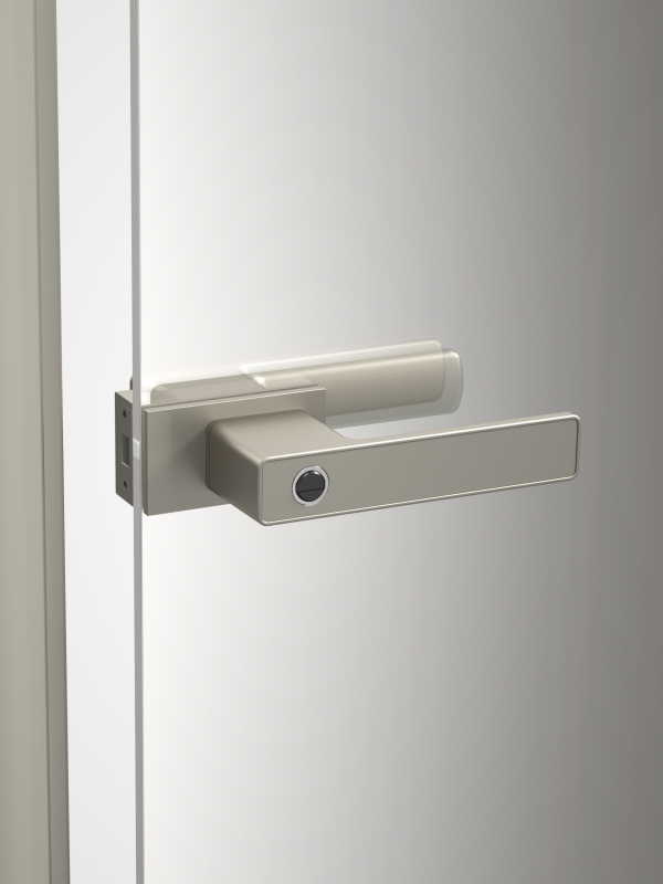Platinum grey door lock