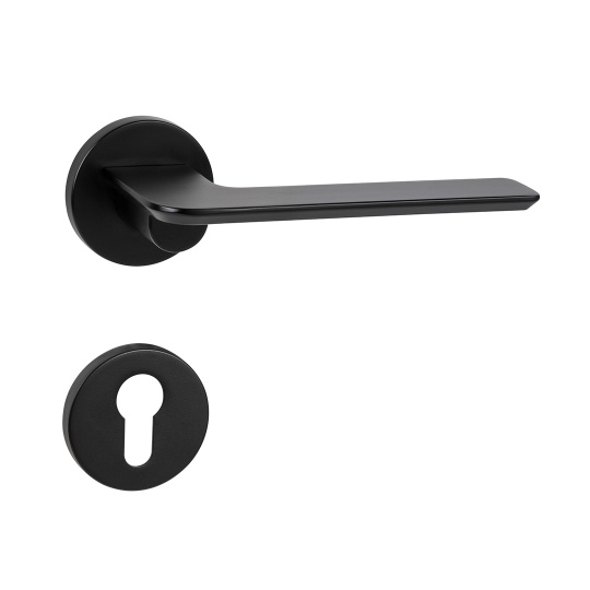 Minimalist matt black door lock