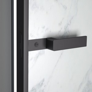 Door Handle Lock B259