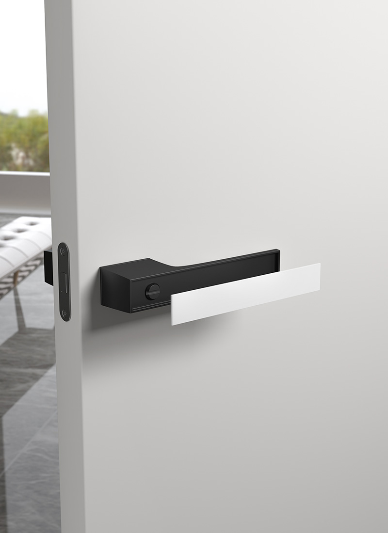 bathroom door with privacy lock