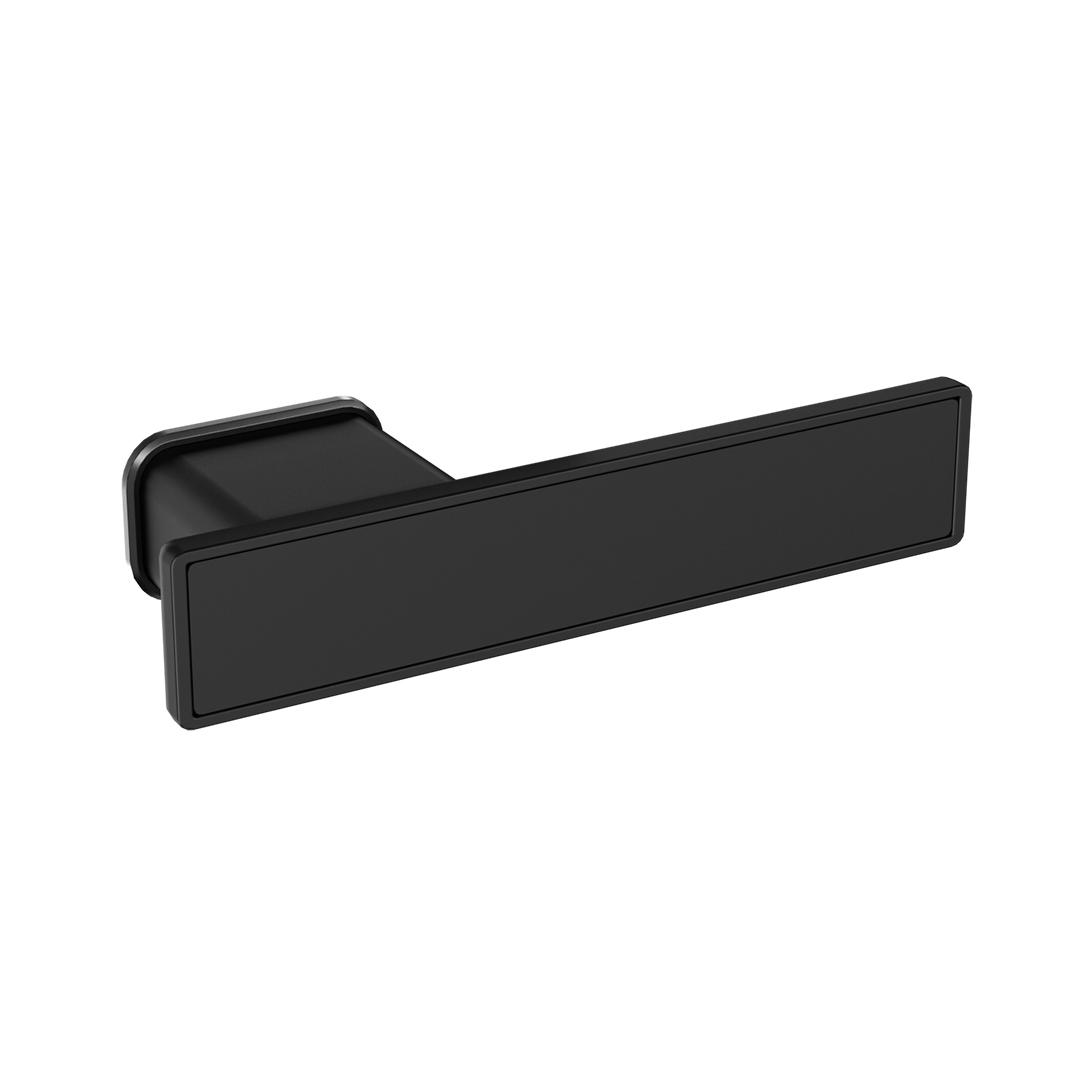 Matt black door knob 