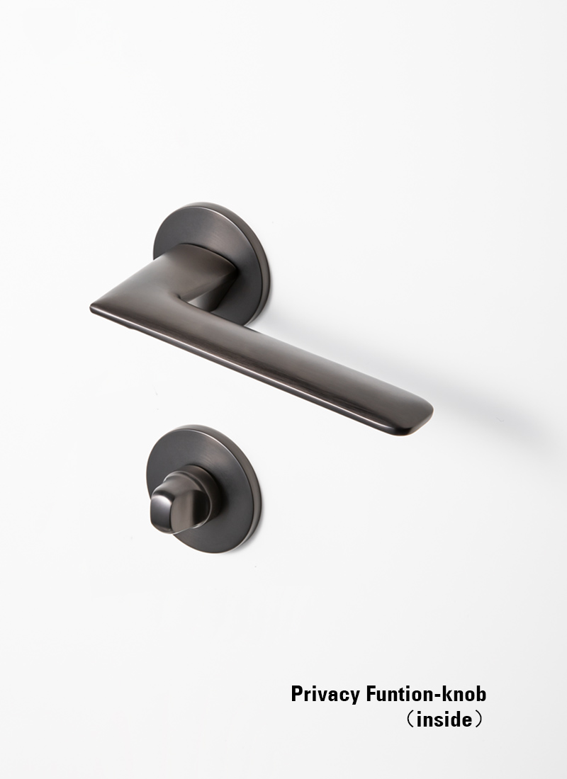 black shower door handle