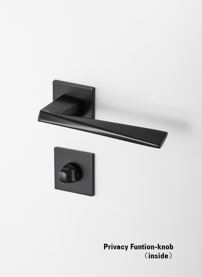 black privacy door handles