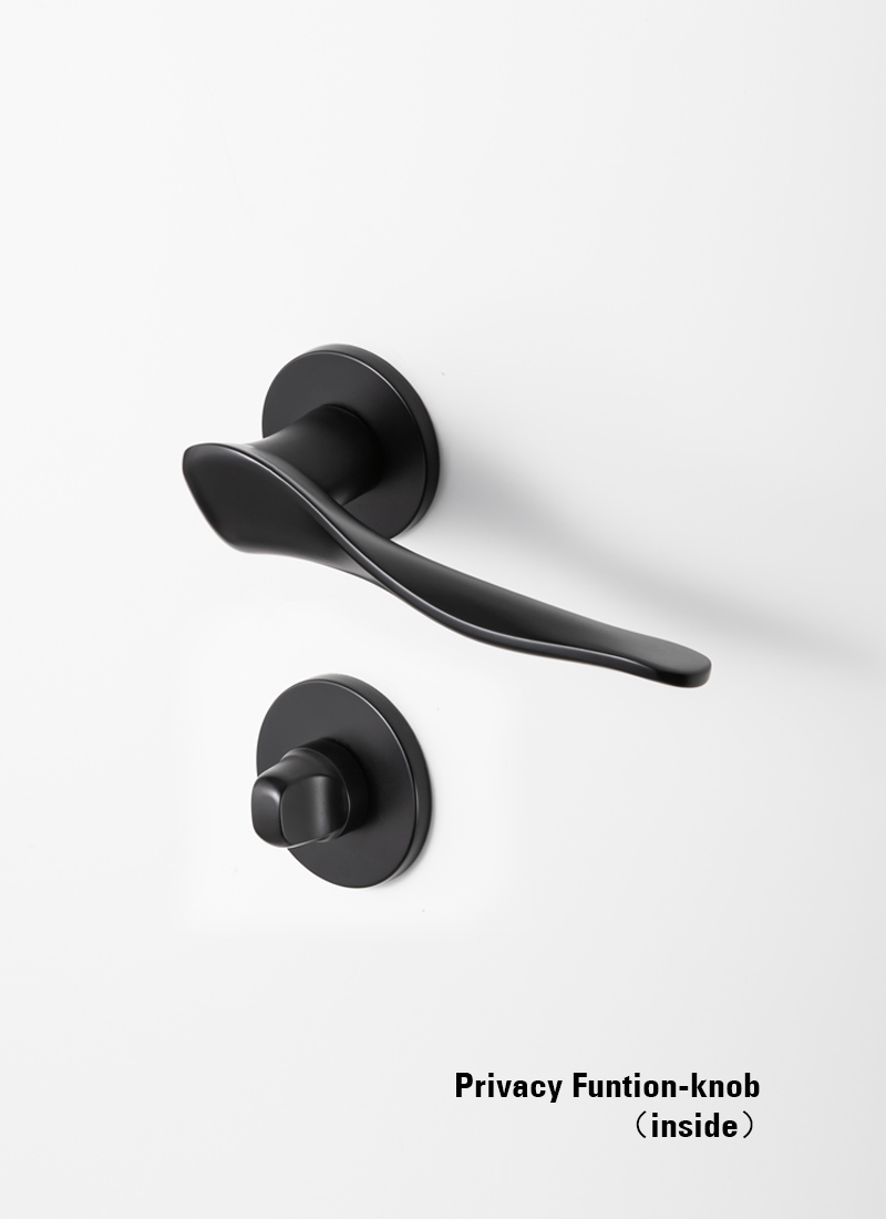 black privacy door handles