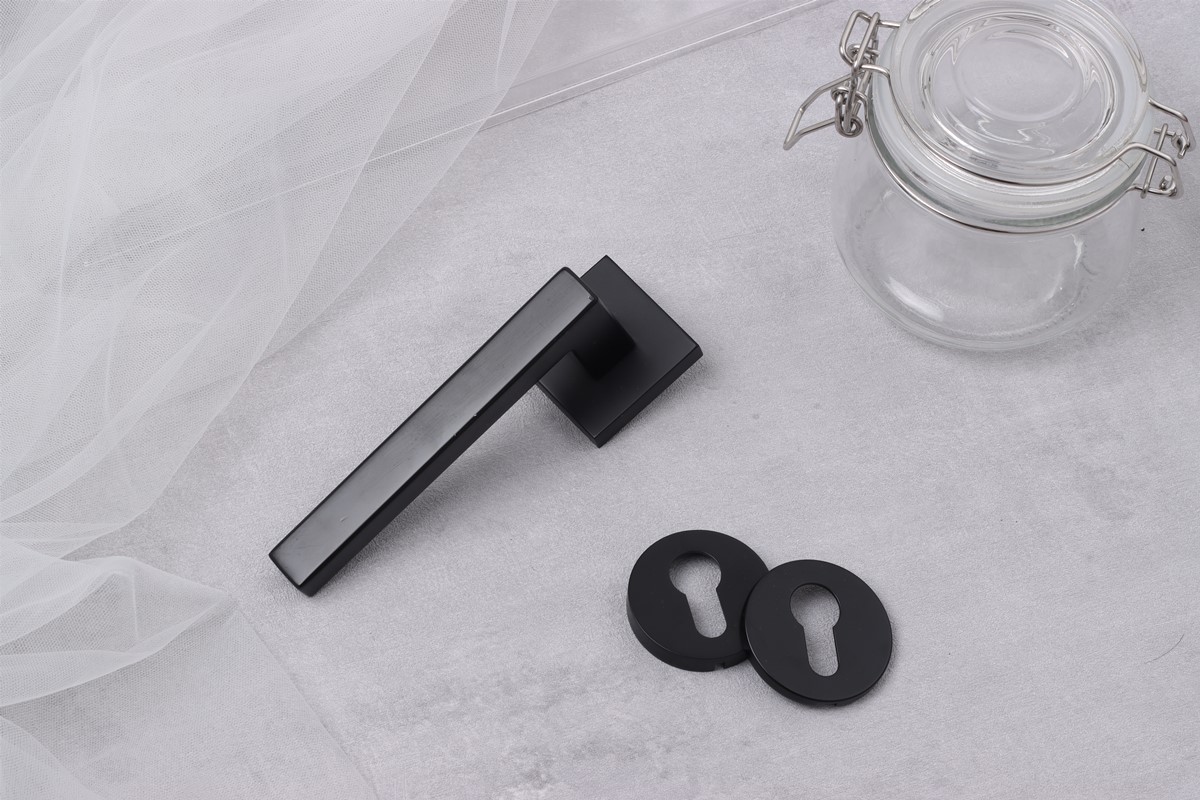 Door handle modern design