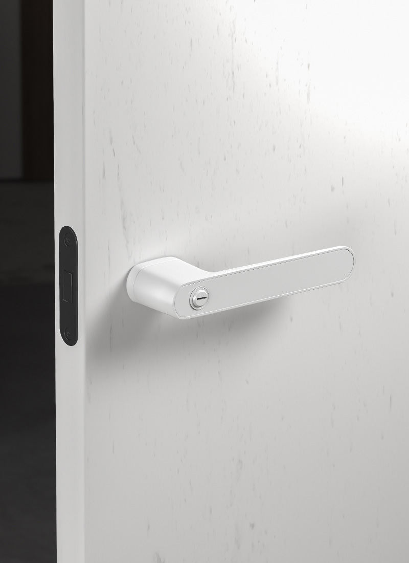 matte black interior door knobs
