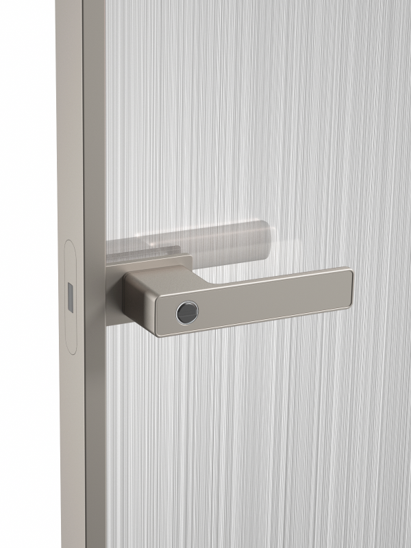 Platinum grey door lock