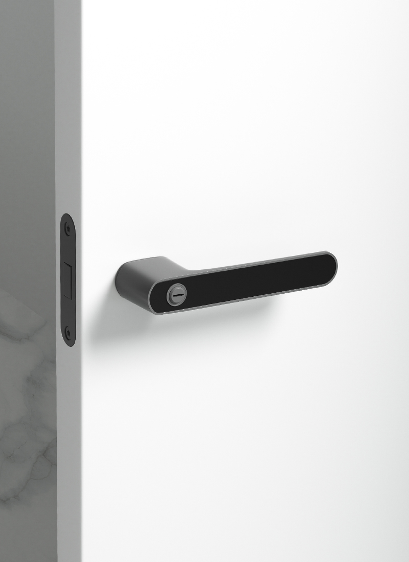 matte black interior door knobs