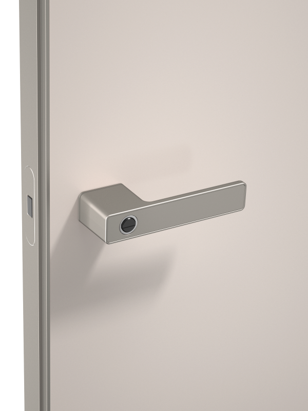 Platinum grey door lock