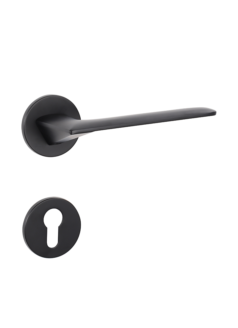 Matt black door lock