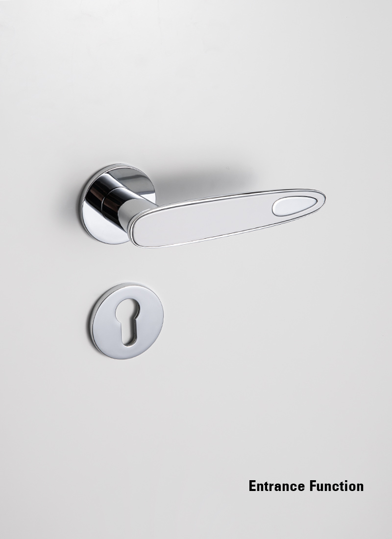 bathroom door with privacy lock