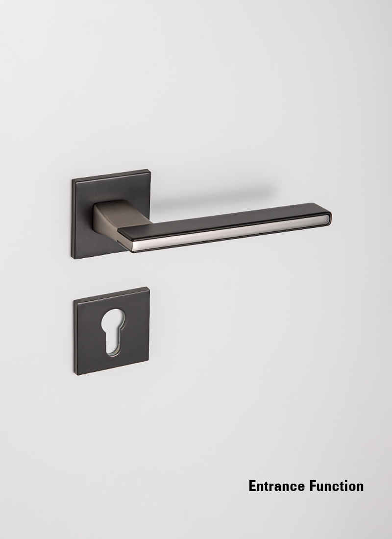 bathroom door handle and lock