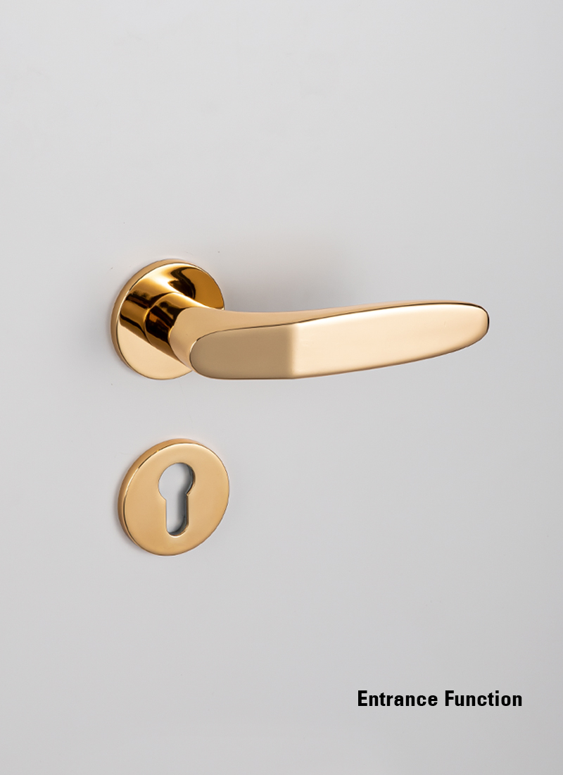 Entrance Function bedroom door lock