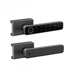 Smart Door Handle – D2