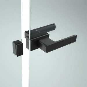 Door Handle Lock BD262F-C-M2