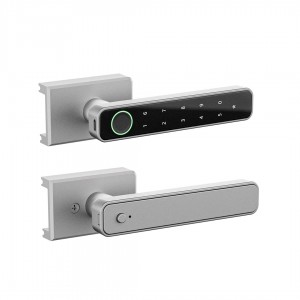 Smart Door Handle – D2