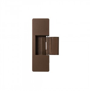 Ultra-thin 2D adjustable hinge