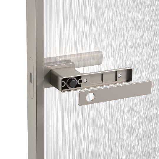 Platinum grey door lock