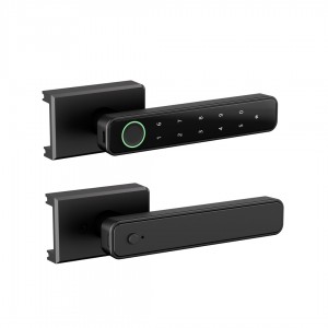 Smart Door Handle – D2