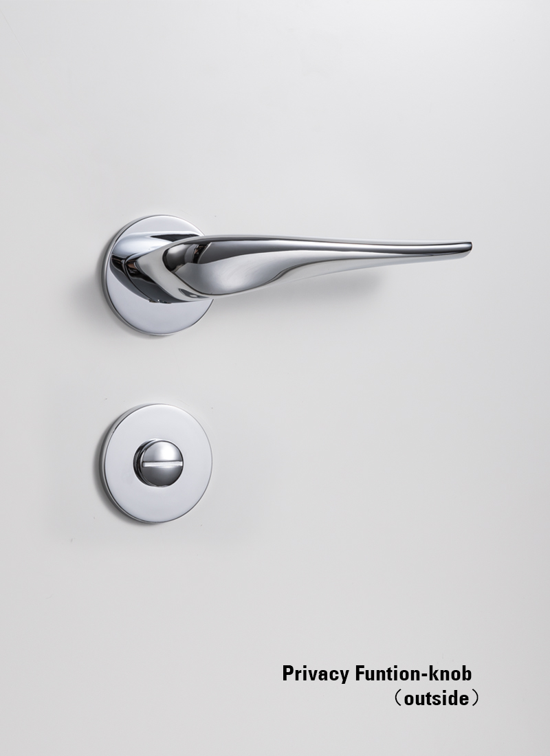 privacy door handles