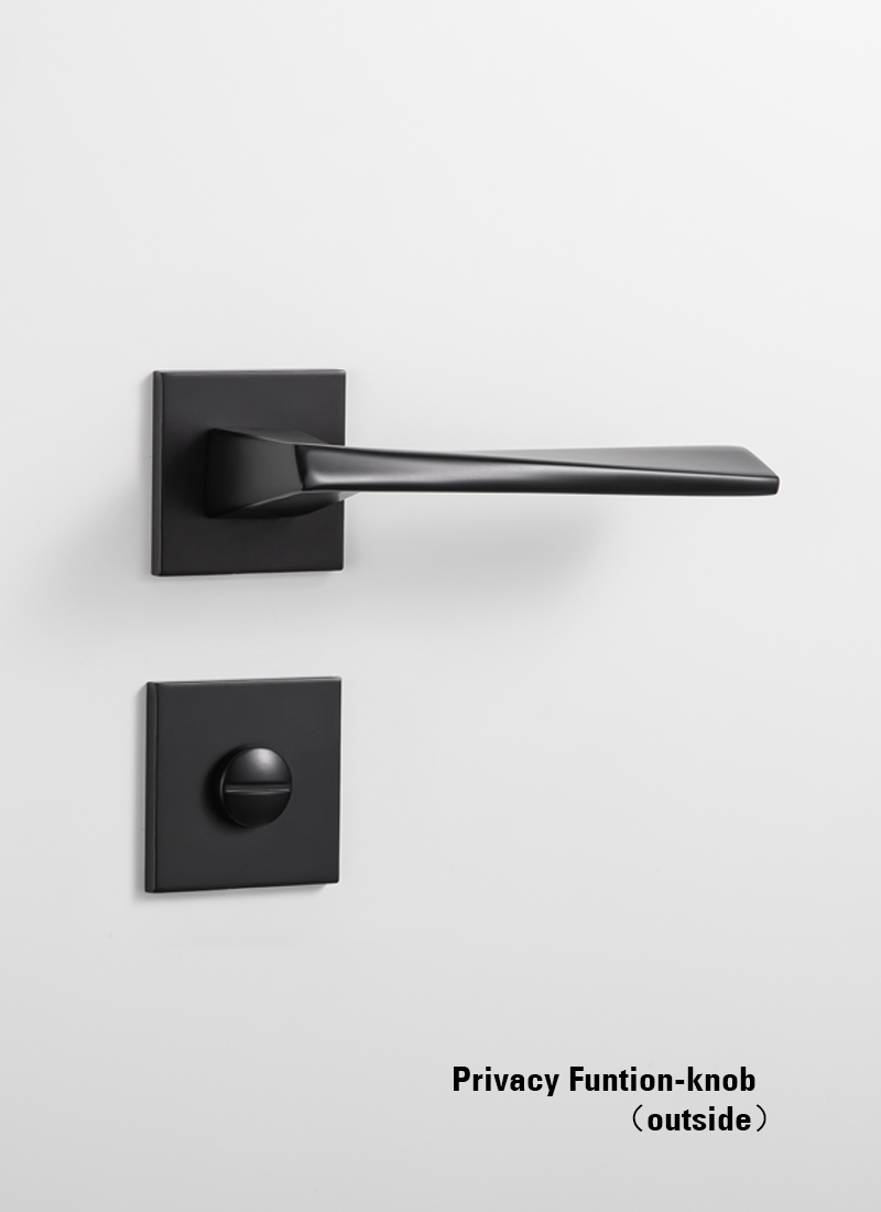black privacy door handles