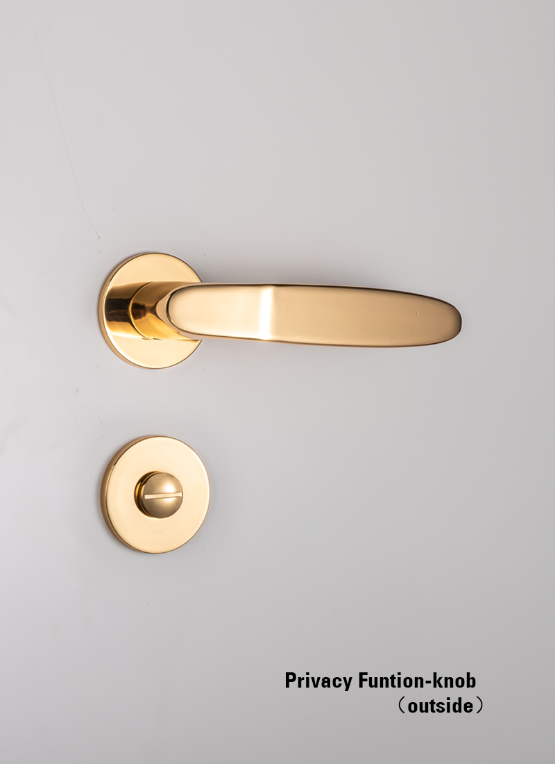 Italy door lock design Privacy Function-knob（outside）